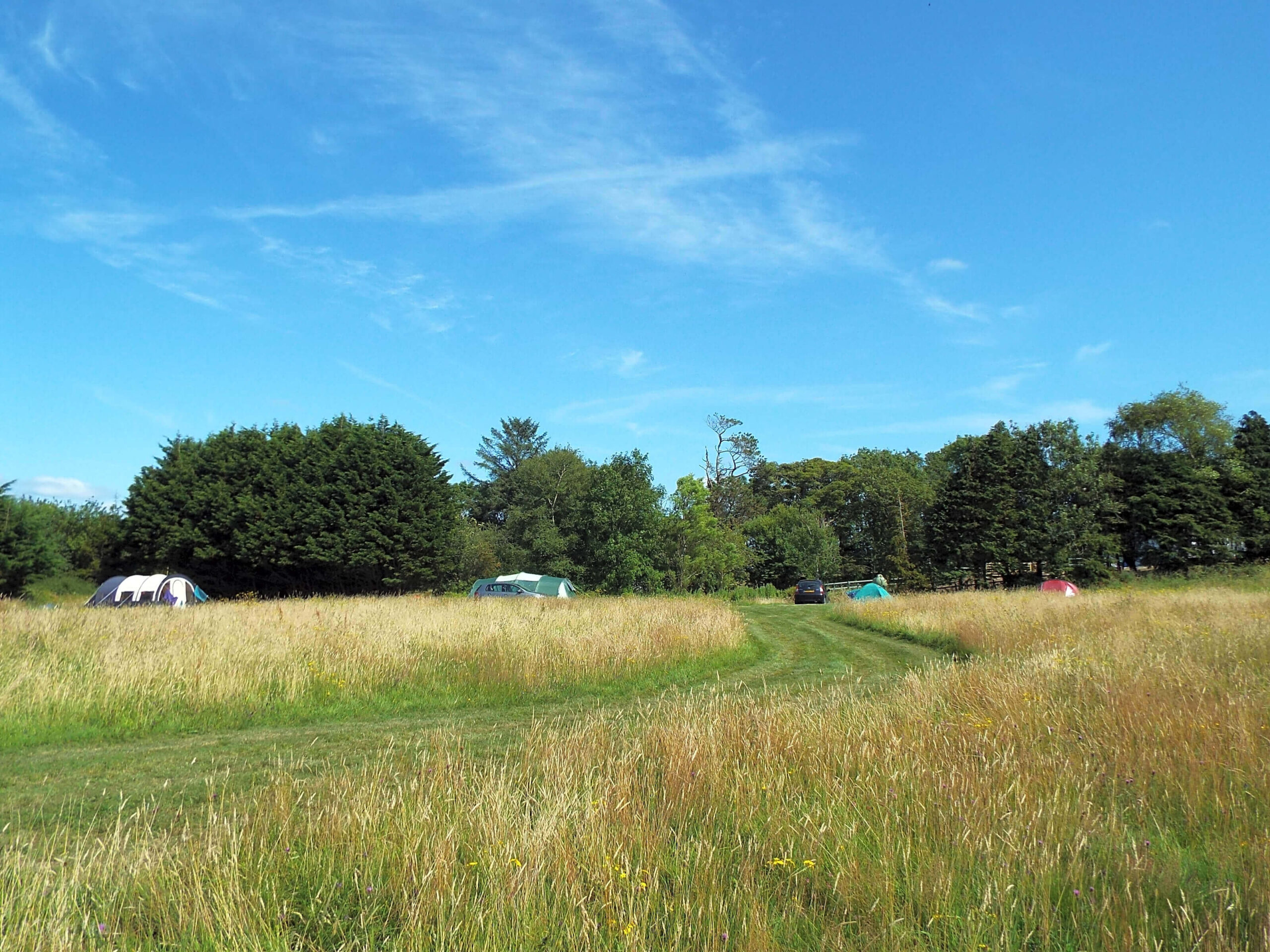 covert farm camping non-electric pitch