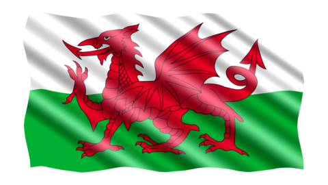 Welsh flag Covert Farm Camping Wales